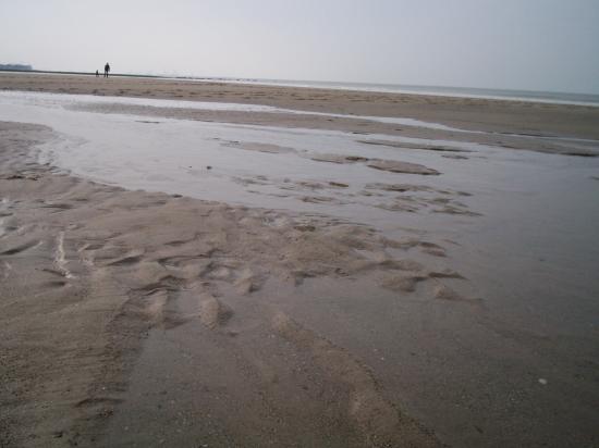 Plage de Knokke en 2011