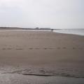 Plage de Knokke en 2011
