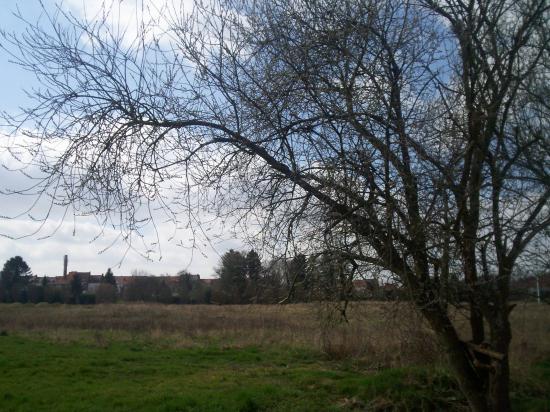 Tournai (Doornik) plaine des manoeuvres (sud de la ville)