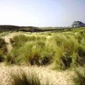 Knokke