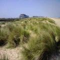 Knokke