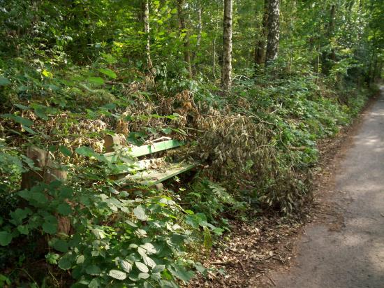 Fraipont après le mini cyclone de fin juillet 2009