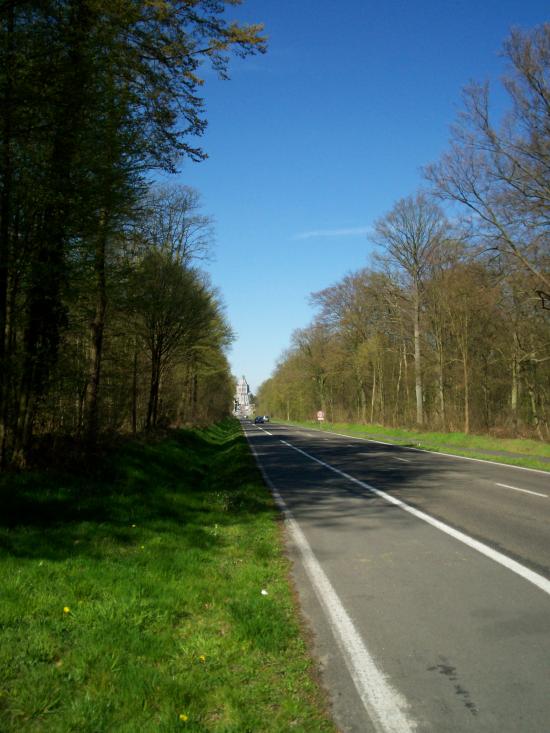 Forêt domaniale de Bonsecours (France), vue sur la Basilique Bon-Secou