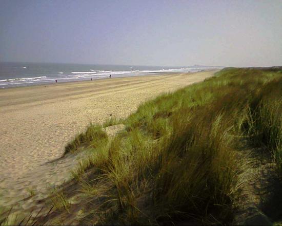 Knokke