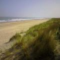 Knokke
