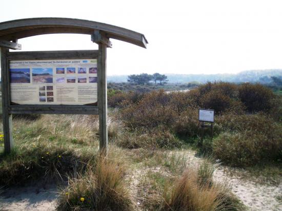 Knokke Zout (réserve naturelle)