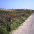 Knokke