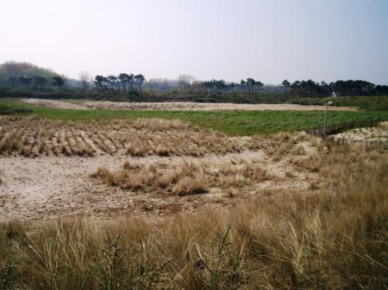 Knokke Zout (réserve naturelle)