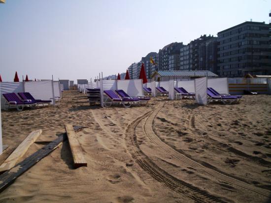 Knokke