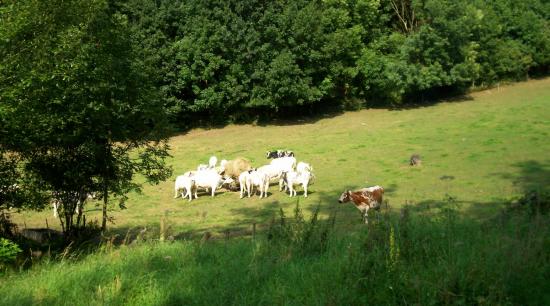 Fraipont (Province de Liège)