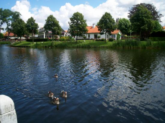 Hollande (Sluis) 2007