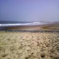 Knokke