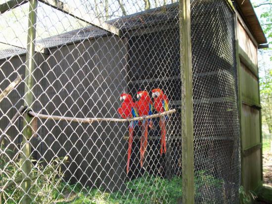Zoo de planckendael (Mechelen ou Malines en Flandre)