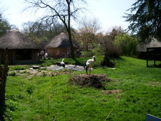 Zoo de planckendael (Mechelen ou Malines en Flandre)
