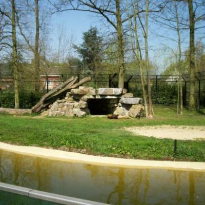 Zoo de Belgique
