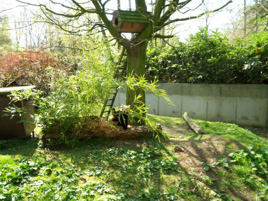 Zoo de planckendael (Mechelen ou Malines en Flandre)